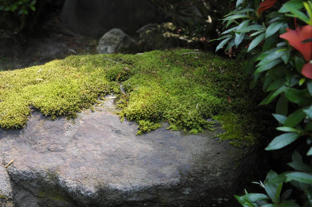 Historical Ryokan Senyukan Owani المظهر الخارجي الصورة
