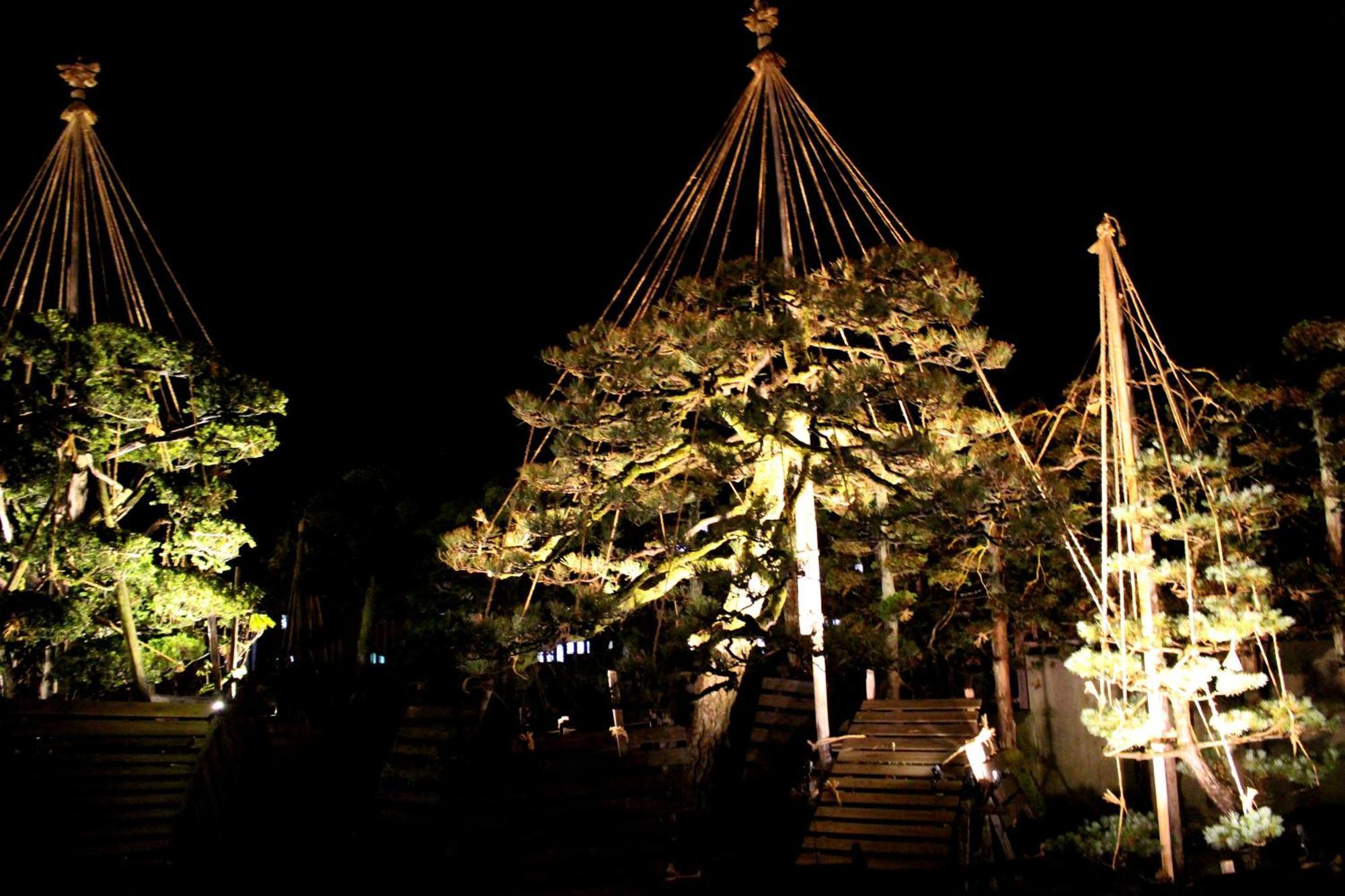 Historical Ryokan Senyukan Owani المظهر الخارجي الصورة